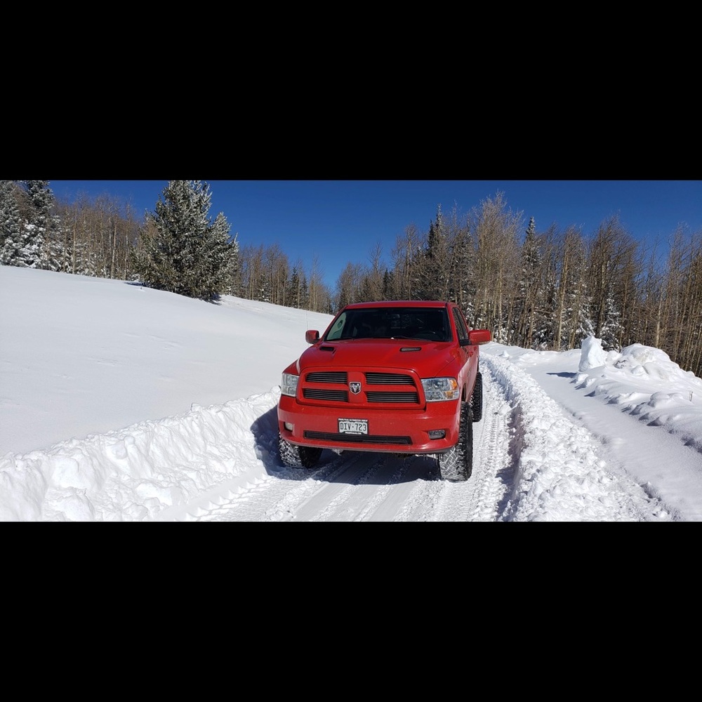 Meet your Posher, Calie